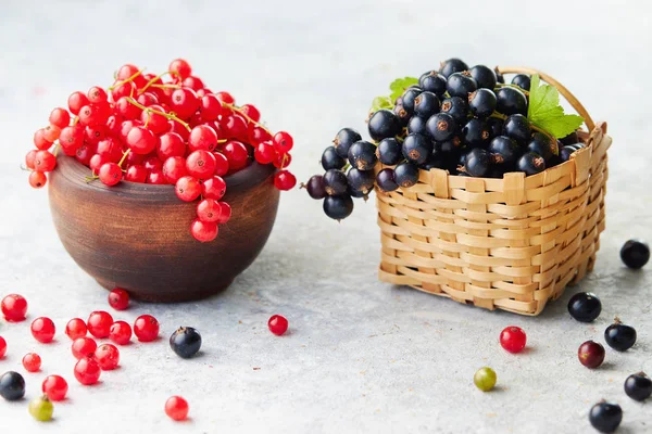 Blackcurrants และ Redcurrants ในตะกร กเกอร ขนาดเล กและชามแยกก นบนพ นหล ขาว — ภาพถ่ายสต็อก