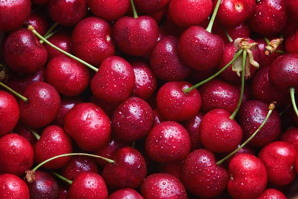 Cerises Rouges Fraîches Avec Gouttes Eau — Photo