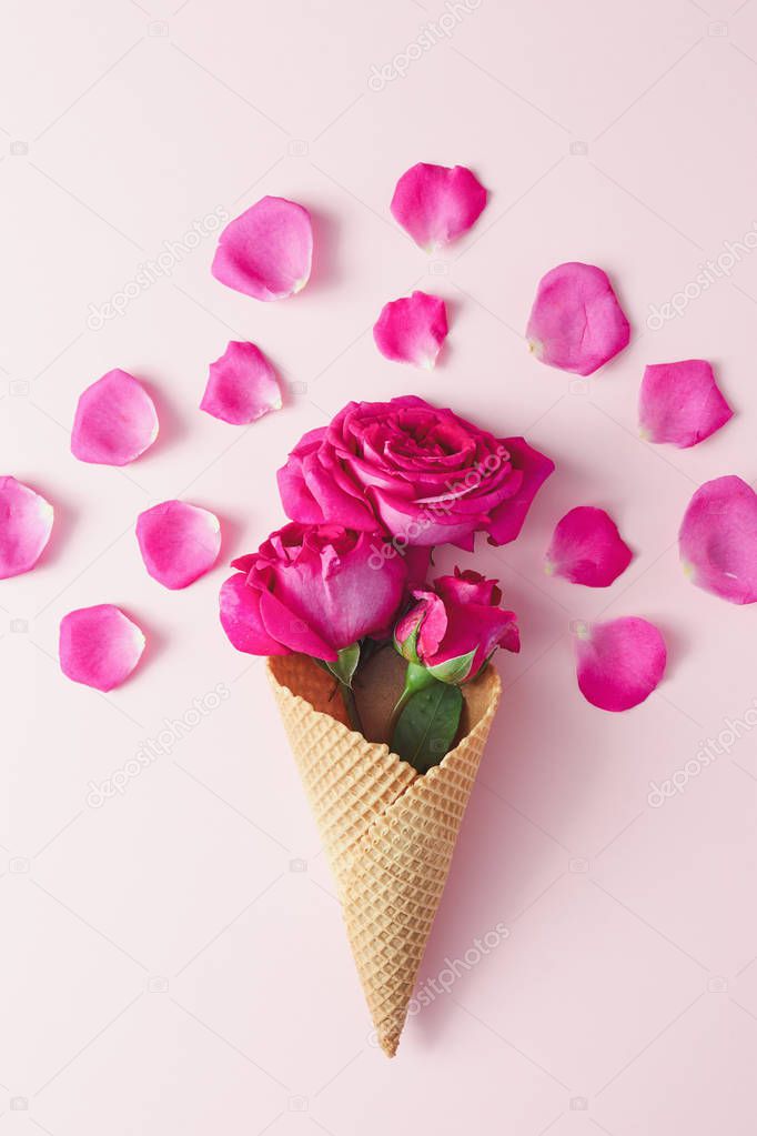 Pink roses in wafer ice cream cone