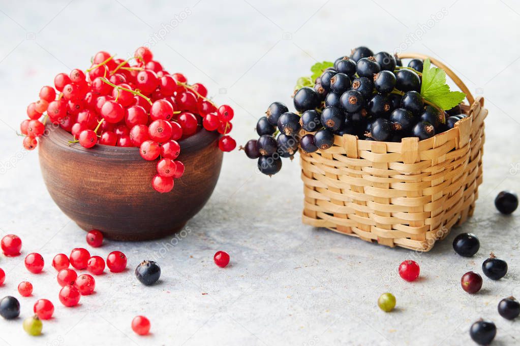 Blackcurrants and redcurrants in small wicker basket and bowl isolated on white background