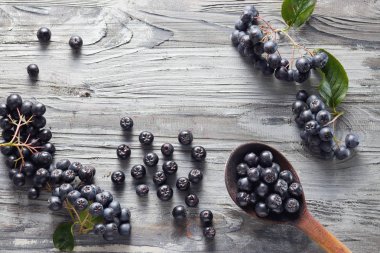 Kaşığı taze çekilmiş homegrown aronia çilek ve yanında. Aronia ile chokeberry bilinen, yaprakları