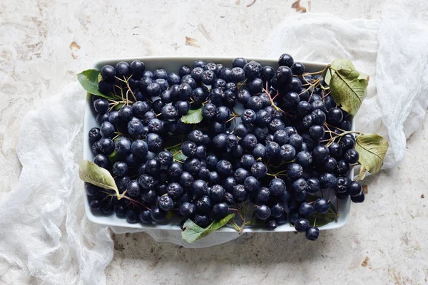 Aronia Commonly Known Chokeberry Leaves Freshly Picked Homegrown Aronia Berries — Stock Photo, Image