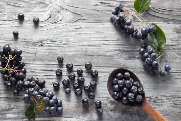 Cucchiaio Bacche Aronia Appena Raccolte Accanto Essa Aronia Comunemente Nota — Foto Stock