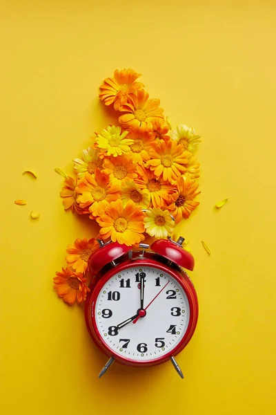 Relógio Alarme Vintage Vermelho Flor Calêndula Fundo Amarelo — Fotografia de Stock