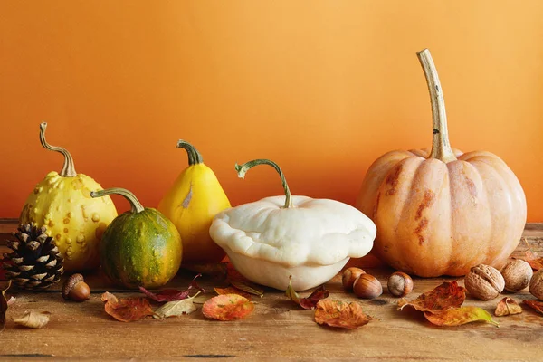 Citrouilles Décoratives Avec Des Feuilles Automne Sur Surface Bois — Photo