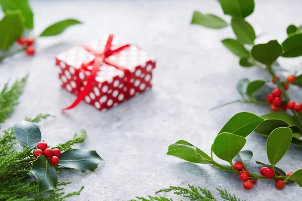 Weihnachtsgeschenk Mit Polka Dot Papier Umwickelt Und Mit Stechpalmen Dekoriert — Stockfoto