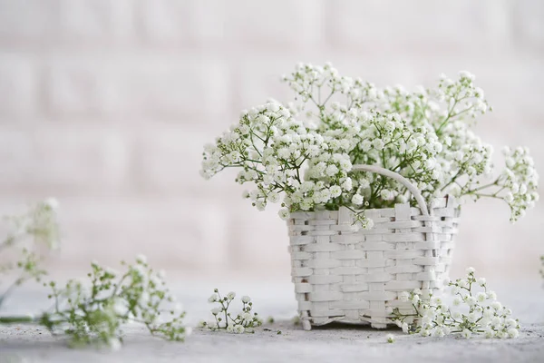 Gipsówki Zbliżenie Małe Białe Kwiaty Mały Kosz — Zdjęcie stockowe