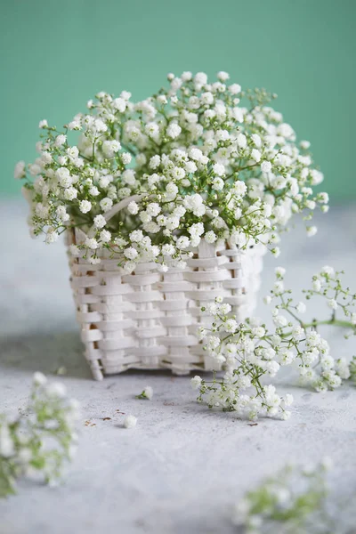 Gypsophila Primer Plano Las Diminutas Flores Blancas Una Pequeña Cesta — Foto de Stock