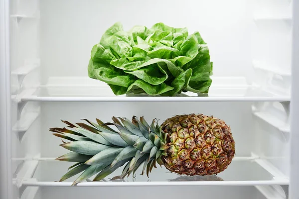 Lettuce Pineapple Shelf Refrigerator Fridge Open Door Close — Stock Photo, Image