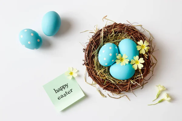 Easter Decoration Nest Eggs Spring Flowers Blue Easter Eggs Nest — Stock Photo, Image