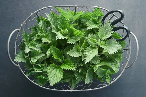 Vers geplukte nettle — Stockfoto