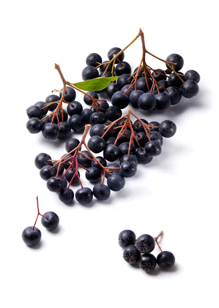 新鲜黑浆果 — 图库照片