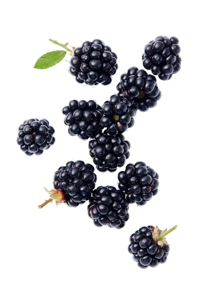 Fresh ripe blackberries falling on white background — Stock Photo, Image