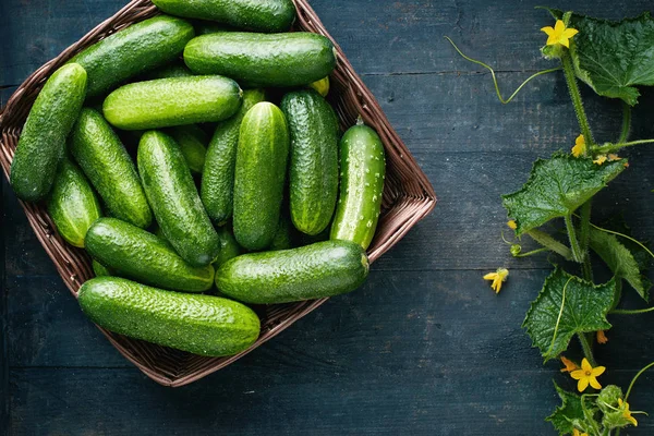 Fresh cucumbers in a basket on wooden table — Stock Photo, Image