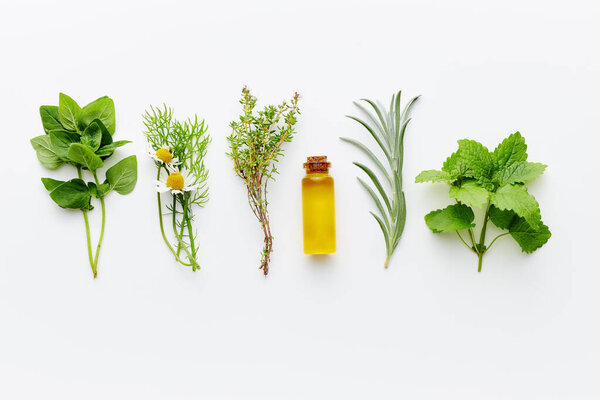 Bottle of essential oil with herbs arranged on white background