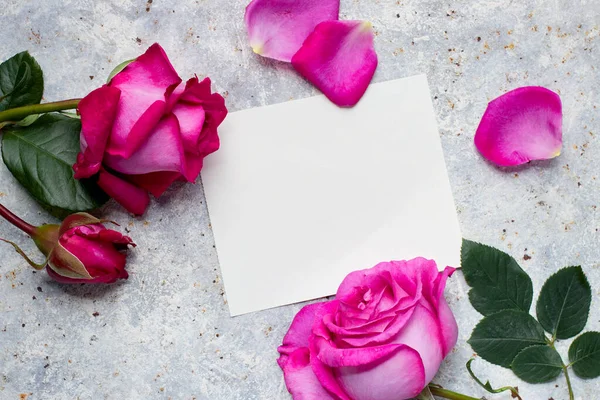 粉色玫瑰 白色空白卡片 您的消息 头顶视图 — 图库照片