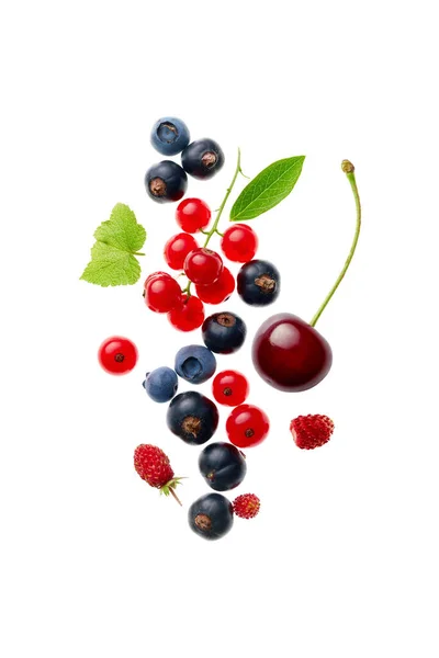 Mix Berry Fruits White Background Overhead View Close — Stock Photo, Image