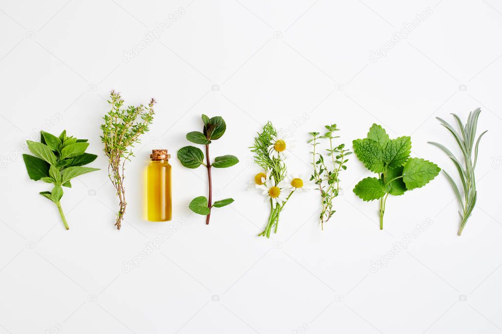 Bottle of essential oil with herbs arranged on white background