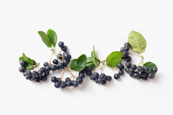 在白色的背景上 新鲜采摘的冬青浆果 龙舌兰 俗称山莓 有叶子 顶部有景 — 图库照片