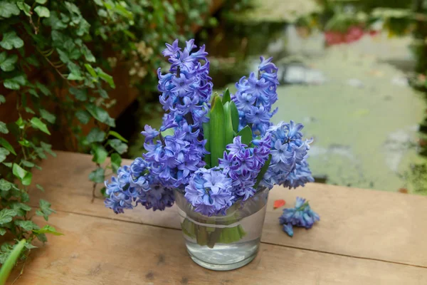 Strauß Blauer Hyazinthen Glas — Stockfoto