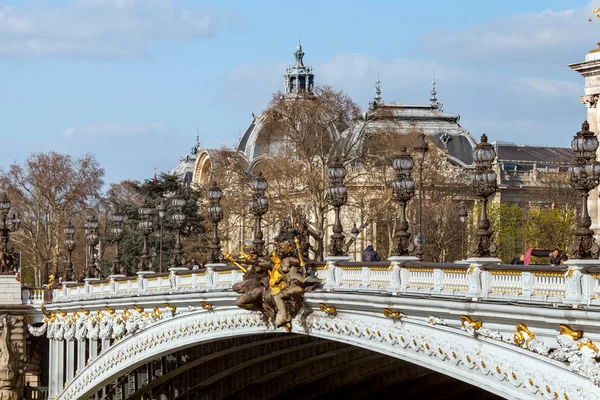 París Francia Marzo 2019 Puente Alexandre Iii Grand Palais Día — Foto de Stock