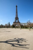 Картина, постер, плакат, фотообои "the view of eiffel tower from park in spring sunny day, paris, france", артикул 313900620