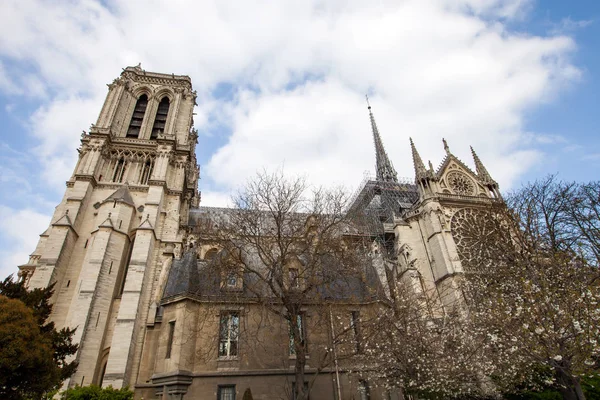 Notre Dame Paris Primavera 2019 França — Fotografia de Stock