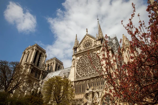 Notre Dame Paris Sunny Day 2019 Spring France — Stock Photo, Image