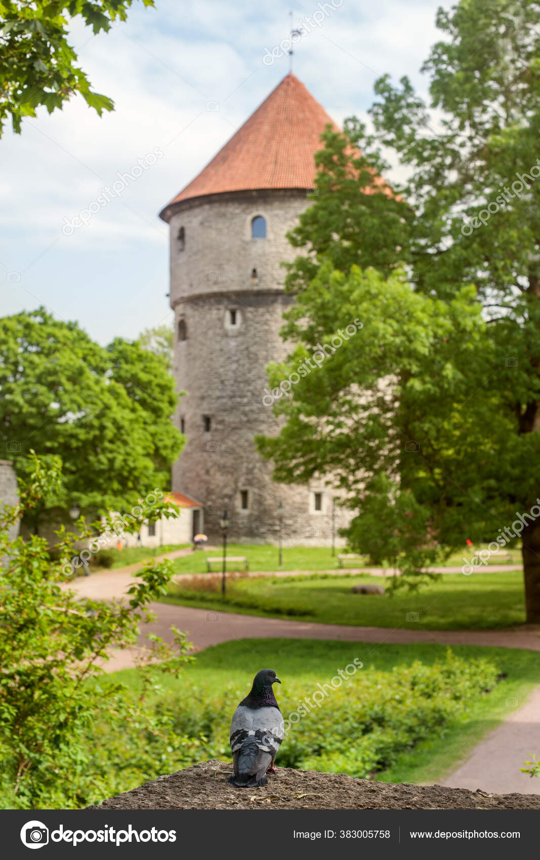 Tallinn Estonia Medieval Tower Kiek Kok Pigeon Park Hill Toompea Stock Photo Image By C Anrymoscow
