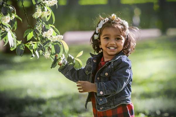 Dvouletá Dívka Parku Kvetoucí Větvi Třešně — Stock fotografie