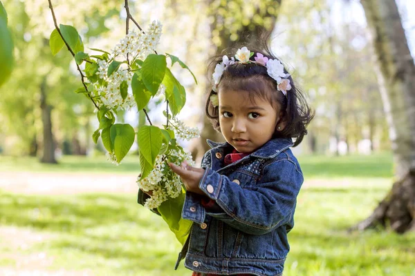 Une Petite Fille Sud Asiatique Dans Parc Une Branche Florissante — Photo