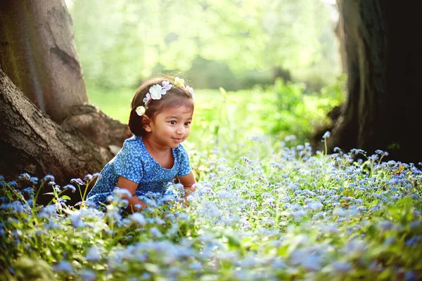 Ein Kleines Südasiatisches Mädchen Sitzt Auf Einem Feld Von Vergissmeinnicht — Stockfoto