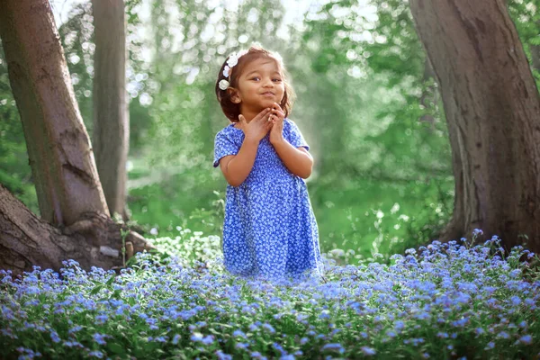 Ein Kleines Dunkelhäutiges Mädchen Inmitten Der Blauen Blumen Park — Stockfoto