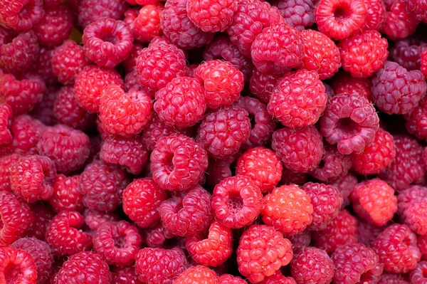 background texture ripe juicy berry raspberry closeup