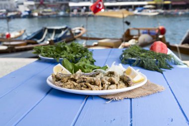 Tabak kızarmış taze mevsimlik otlar, hafif mavi ahşap masa dilimlenmiş soğan, roka, maydanoz ve limon ile hizmet veren kırmızı kefal balık. Mullus subtropikal deniz aile Levreksiler balık cinsidir.
