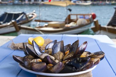 Türk lezzetli pirinç dolması domates ile hizmet veren midye, yeşil roka salatası ve sulu limon rustik mavi ahşap arka plan masa. Metin alanı için alan kopyalayın. Midye Dolma.