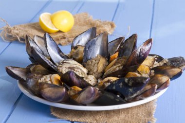 Türk lezzetli pirinç dolması domates ile hizmet veren midye, yeşil roka salatası ve sulu limon rustik mavi ahşap arka plan masa. Metin alanı için alan kopyalayın. Midye Dolma.