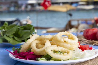 Lezzetli derin kızarmış kalamar garson beyaz daire plaka, kırmızı lahana, tartar, halka dilimlenmiş soğan ve yeşil roka salatası rustik mavi ahşap arka plan üzerinde. Kalamar çok mutfaklarının yemek. Üstten görünüm.