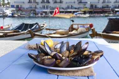 Türk lezzetli pirinç dolması domates ile hizmet veren midye, yeşil roka salatası ve sulu limon rustik mavi ahşap arka plan masa. Metin alanı için alan kopyalayın. Midye Dolma.