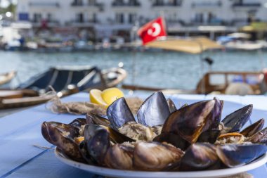 Türk lezzetli pirinç dolması domates ile hizmet veren midye, yeşil roka salatası ve sulu limon rustik mavi ahşap arka plan masa. Metin alanı için alan kopyalayın. Midye Dolma.