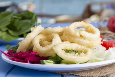 Lezzetli derin kızarmış kalamar garson beyaz daire plaka, kırmızı lahana, tartar, halka dilimlenmiş soğan ve yeşil roka salatası rustik mavi ahşap arka plan üzerinde. Kalamar çok mutfaklarının yemek. Üstten görünüm.