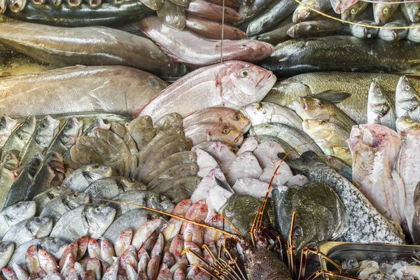 Variation of Fresh Seafood on ice at fish market