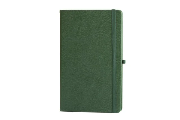 Groen Leder Agenda Dagboek Notebook Met Pennenhouder Geïsoleerd Een Witte — Stockfoto