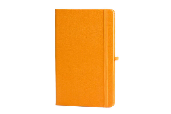 Оранжевая дневниковая тетрадь с ручкой, изолированная на белом фоне. В канцелярских принадлежностях, дневнике или записной книжке есть небольшая книга, содержащая основной раздел дневника с пространством на каждый день
