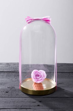 cam kavanoz altında pembe gül çiçek görünümünü kapat