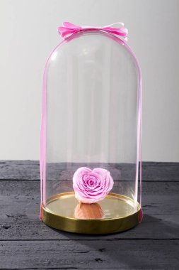 cam kavanoz altında pembe gül çiçek görünümünü kapat