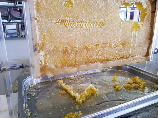 close up view of natural sweet honey