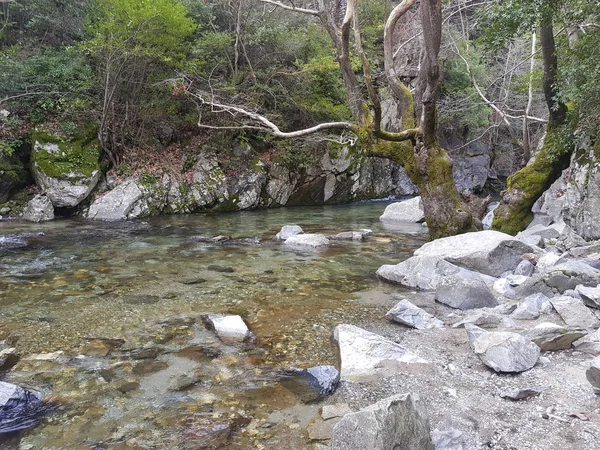 Vacker Utsikt Över Flödande Mountain River — Stockfoto