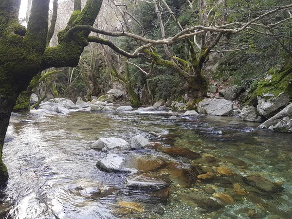 山に流れる川の美しい景色 — ストック写真