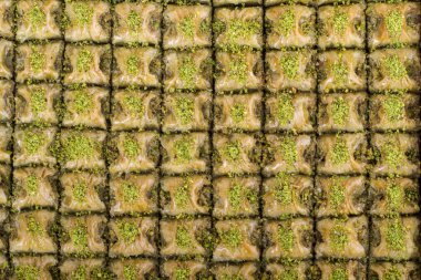 taze pişmiş lezzetli pasta düzenlenmiş 